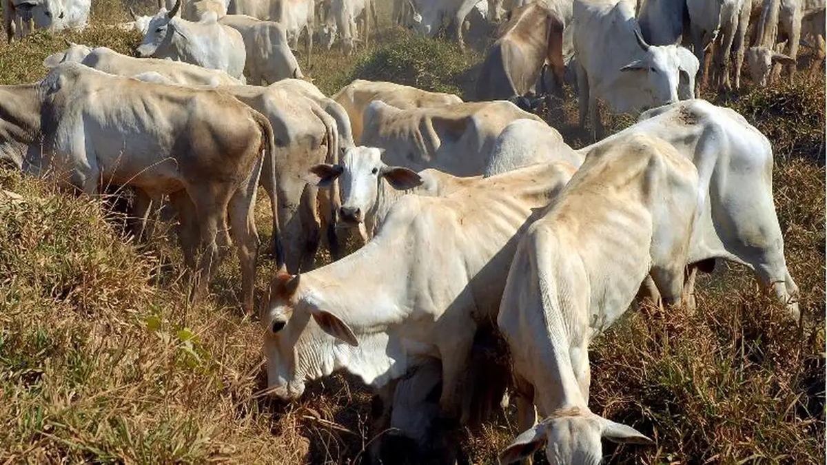 AgroCapital realiza happy hour produtores rurais e empresários